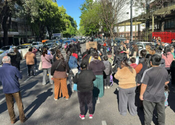 Por tercer día consecutivo las familias no envían a sus hijos a una escuela porteña por invasión de roedores