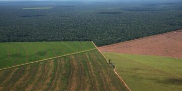 Tierras bonaerenses: la Justicia ordenó al Gobierno Nacional preservar los registros de los campos en manos extranjeras