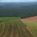 Tierras bonaerenses: la Justicia ordenó al Gobierno Nacional preservar los registros de los campos en manos extranjeras